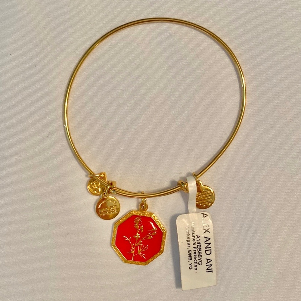 Alex & Ani Bracelet